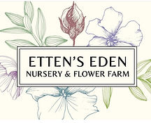 Ettens Eden.jpg