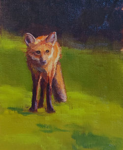Furneaux, Pam-Fox