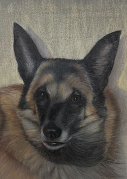 Garcia, Nancy_Malinois_edited