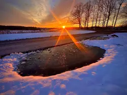 Pyles Gomer-Winter Twilight