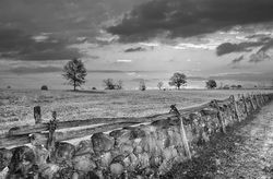 Lancaster, Roger_The Piedmont Fence - Sandy Danielson