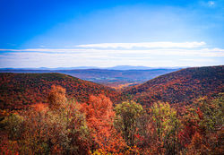 Thiele, Terry_I Spy Piedmont! - Teresa Thiele