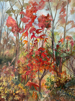 Schneider, Deb_Red Maple