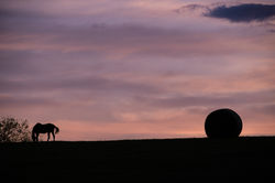 West, Tiffany_Last Light - Tiffany West