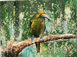 Viscardi, Linda_Happy Boy