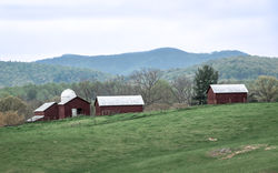 Loden-Dowdle, Cynthia_Red Barns from Rokeby - C Ld
