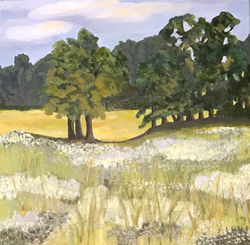Wine, Linda-Spring Meadow