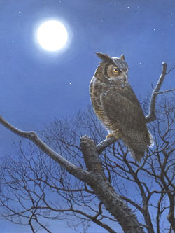 Walsh, William_Great Horned Owl