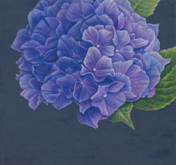 Coleman_Karen_Chasing the Light_col pencil