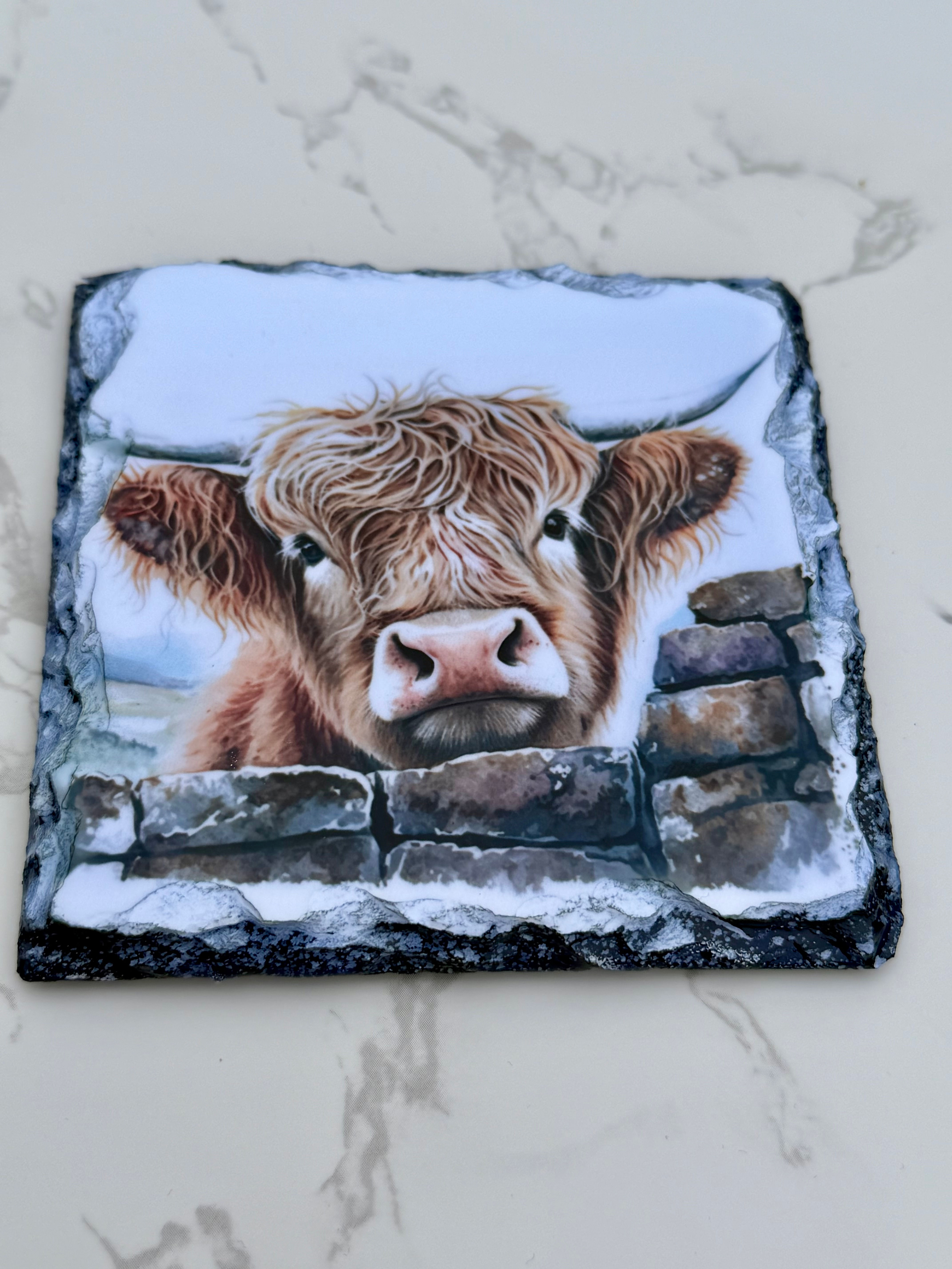 Looking over the wall slate coaster 
