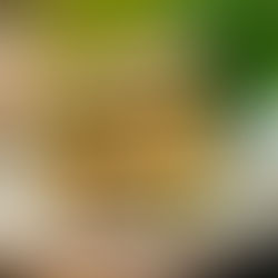 Sandwich végétalien au seitan fumé et mayo au raifort avec concombre et laitue romaine