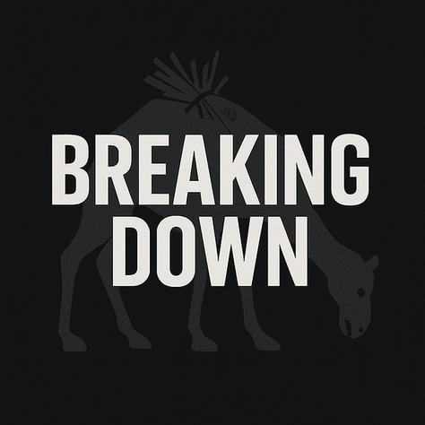 When the System Blinks First: A Reflection on Breaking Down in Training