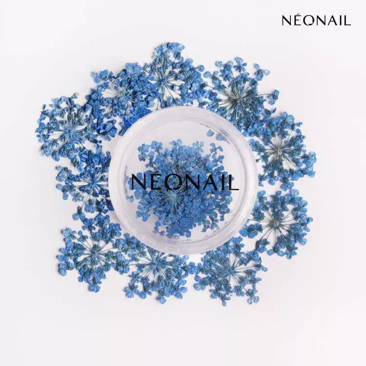 Pikkukuva: Neonail 11085 - Kuivatut kukat 04 Navy