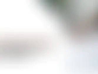 income tax Saint Petersburg FL