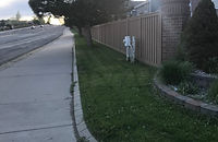 Clean, green lawn strip along a curb in Centennial, CO