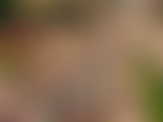 ¿Cómo mejorar el servicio de transporte urbano en Bucaramanga? Esto opinan los ciudadanos