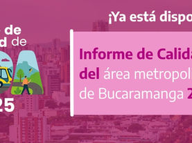Informe de Calidad de Vida 2025