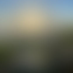 Something exciting in the works