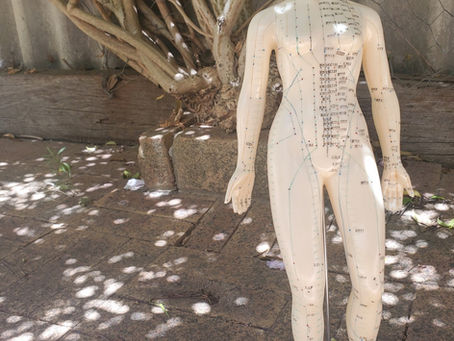 Acupuncture Meridians