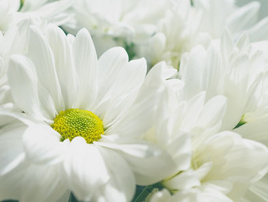 Blomsteroppsats begravelse