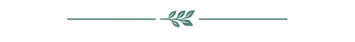 ChatGPT Image Jun 9, 2026 at 08_17_27 AM.png