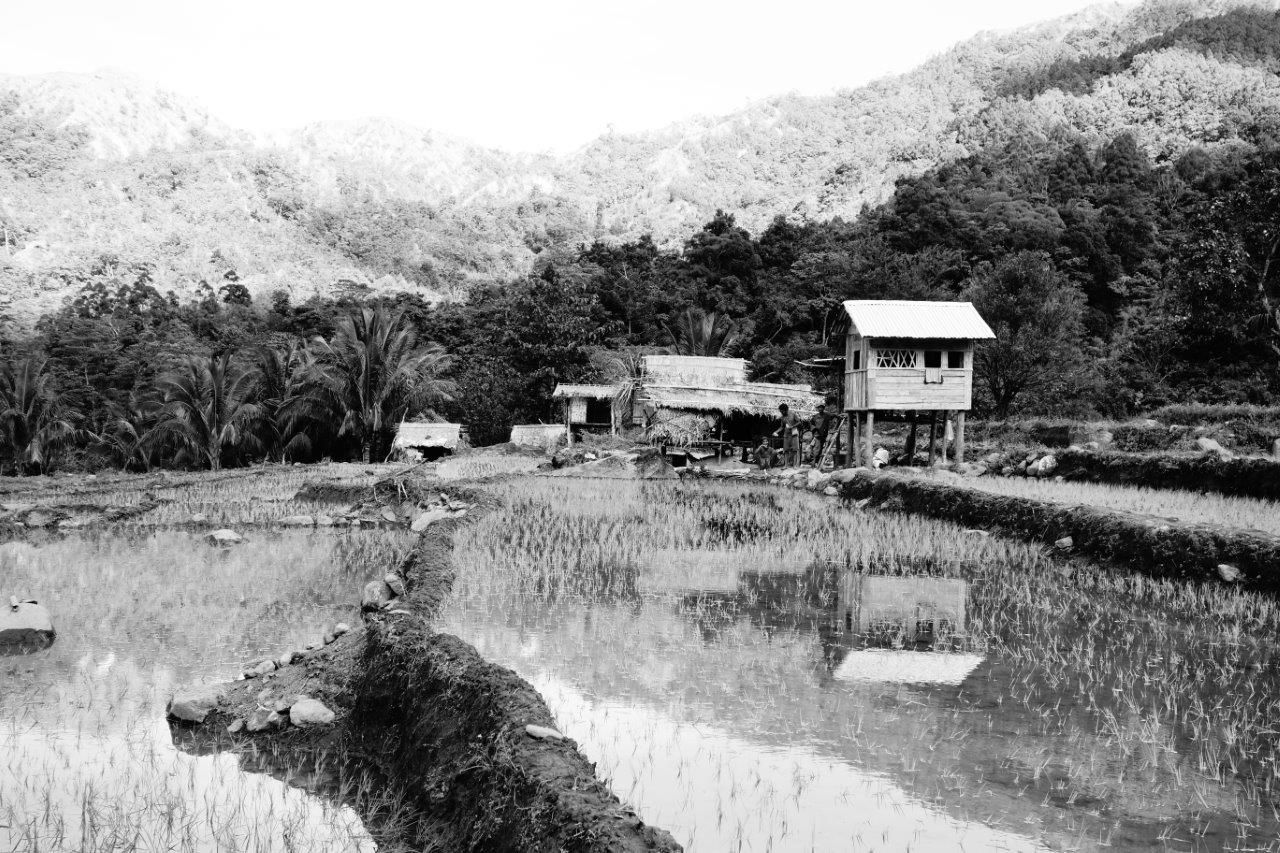 DSC02015