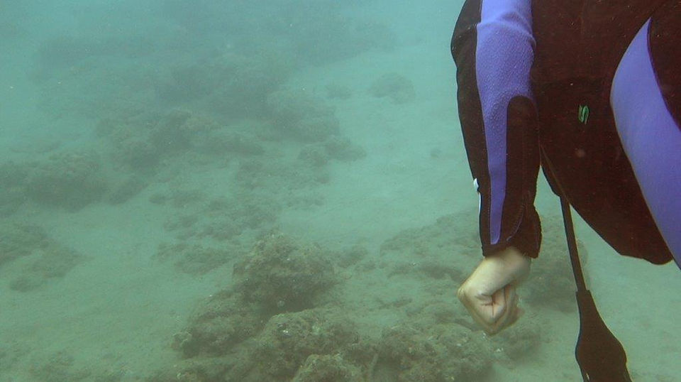 128Udalo MPA (69a)