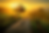 sunrise.jpg