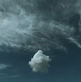 IMG_3926.jpeg