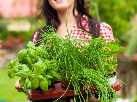 Herbal Sachets and What Herbs to Use