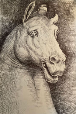 Study of Roman Bronze horse