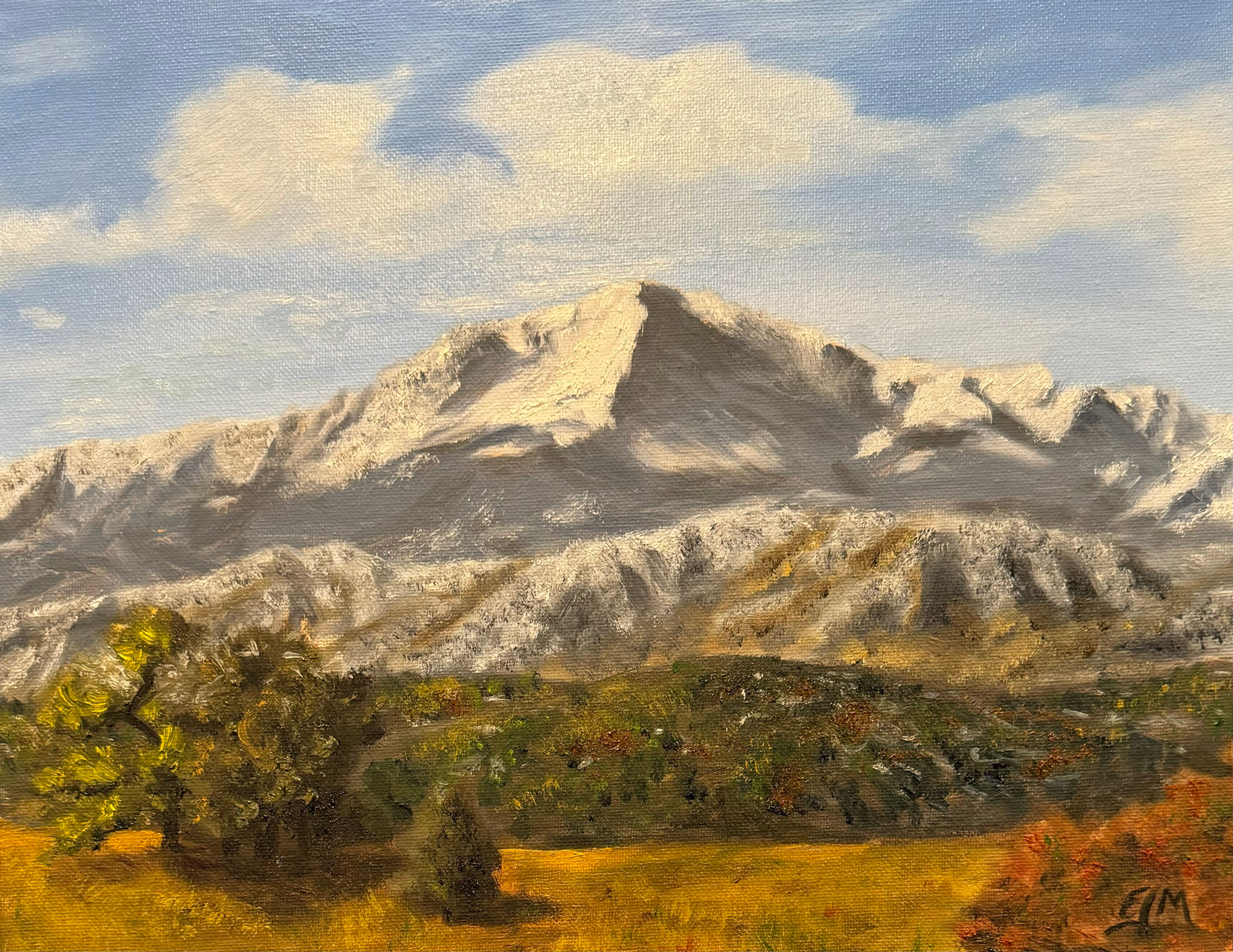 Pike's Peak (SOLD)