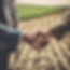 real farmers shaking hands over a deal.jpg