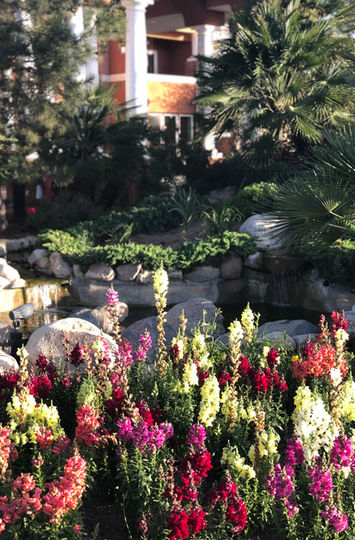 San-Diego-Wedding-Coordinator