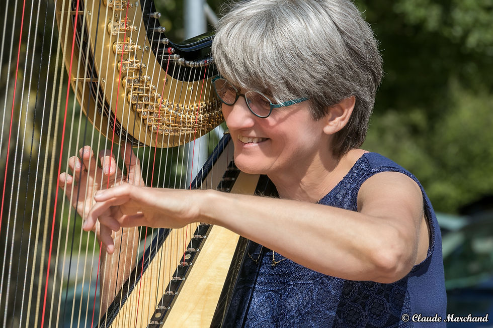Récital de harpe dans le parterre - Dimanche 4 juin entre 14h30 et 18h00