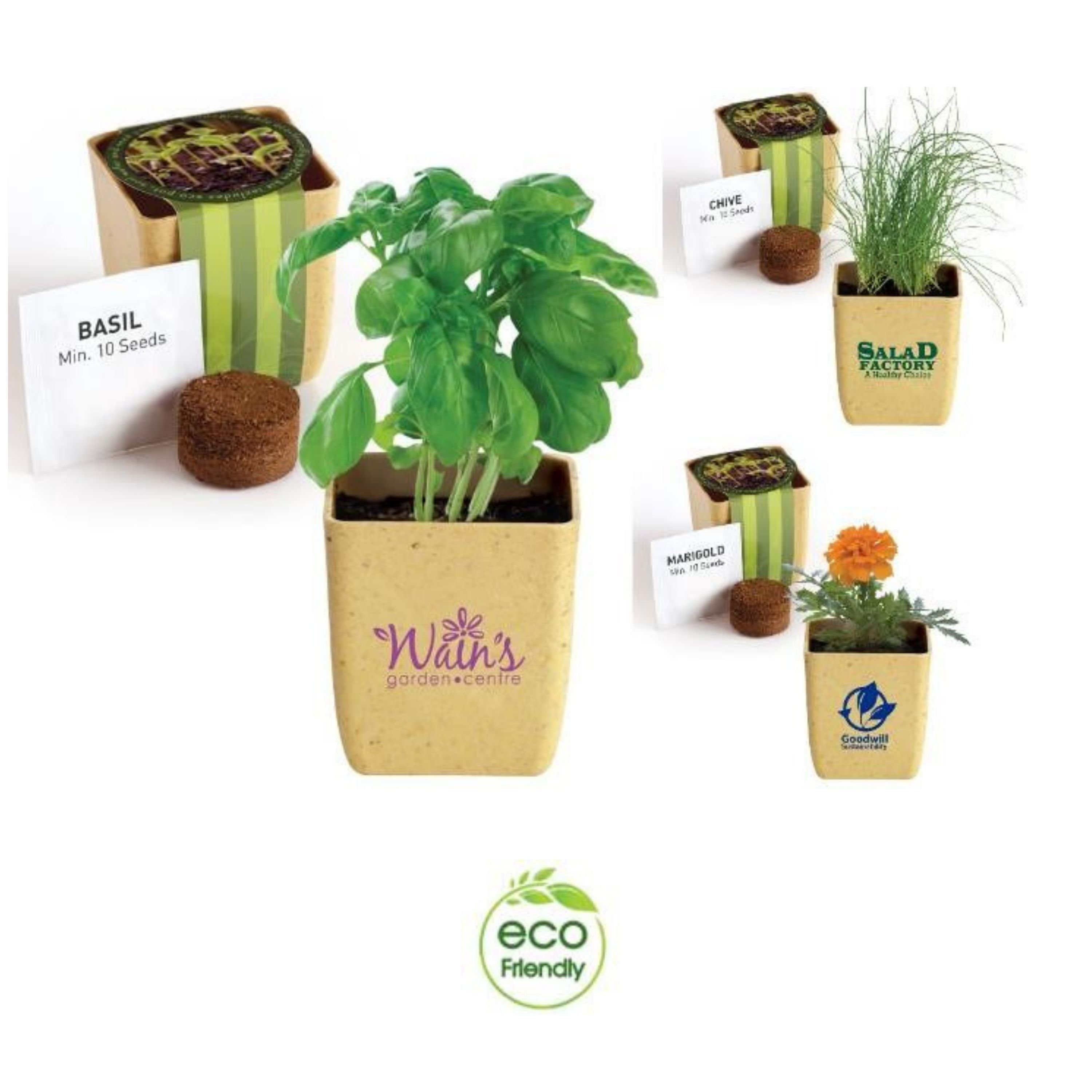 Flower Pot with Seeds veryexcitingthings