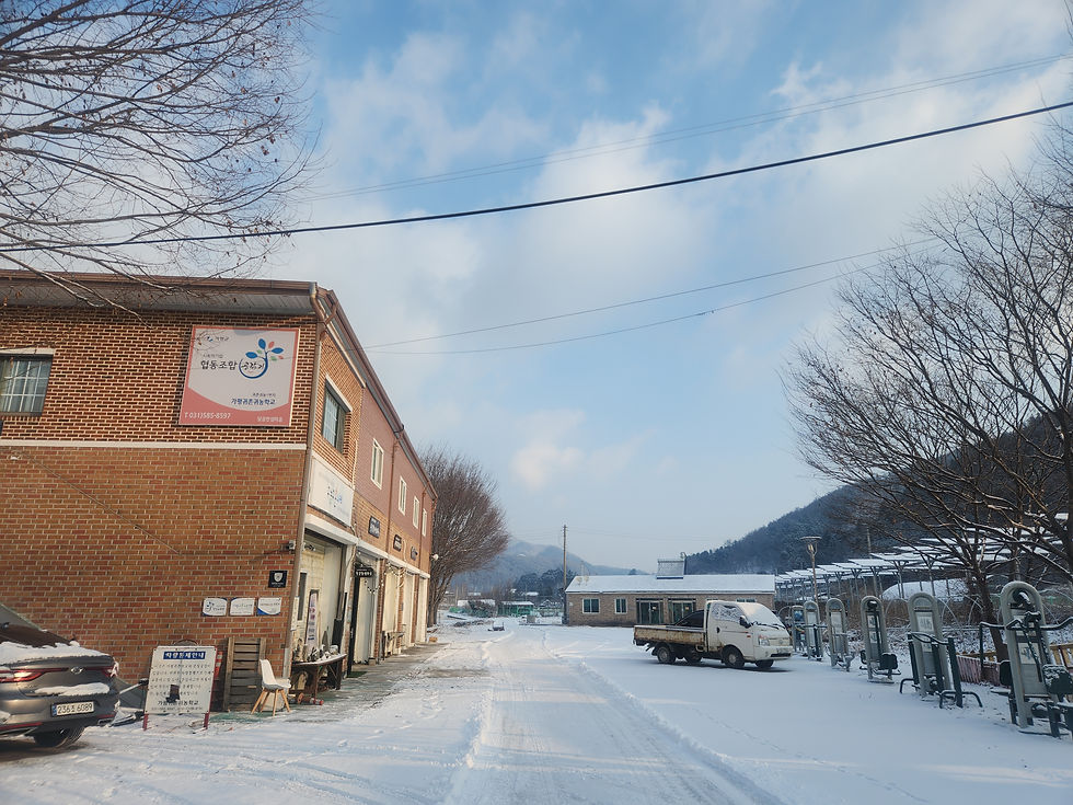 겨울 아침의 달콤한샘마을은 잠시 숨을 고르는 중입니다.