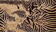 Izabel Vienna Creative Launch Graphics-01_edited.jpg