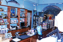 FRONT COUNTER