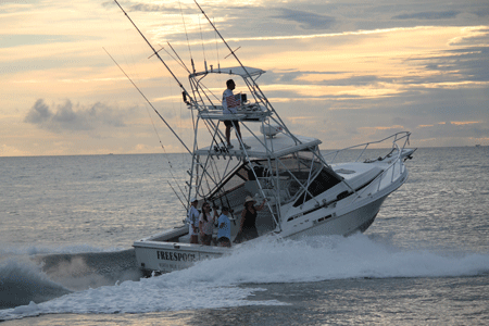 Hooked on Flamingo | StingRay Tackle