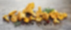 AdobeStock_67748458 (1).jpeg