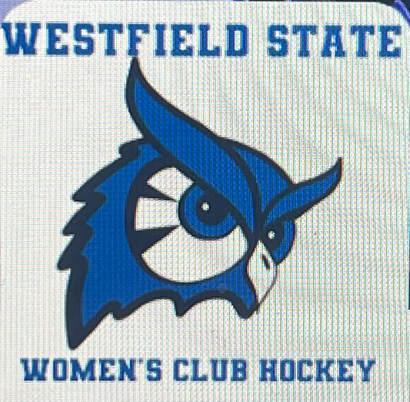 Writer: WSU Women's Hockey