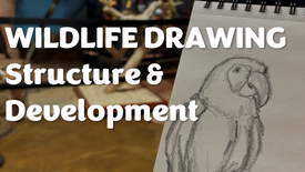 Structure & Development