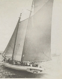 J.D. "Jacky Jack" Covacevich