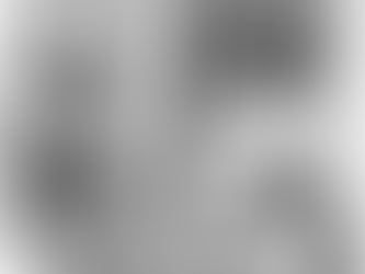 Mary Helena "Lena" Marinovich Newman