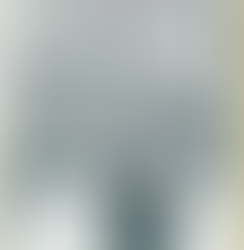 Walter Celeste Fountain