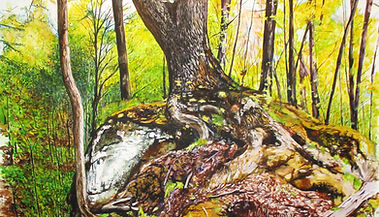 ROOTED ON THE ROCK.jpg