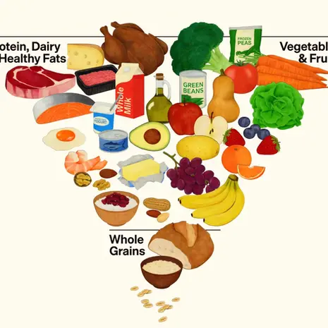 My Thoughts on the New Food Pyramid