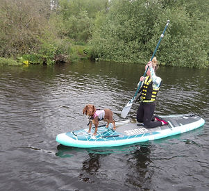 SUP with your dog, SUP with your Pup, Paddle Boarding with dog