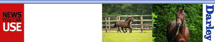 DAR24912-TDN-EURO-Homepage-banner-HA-Prof-23AUG22.gif